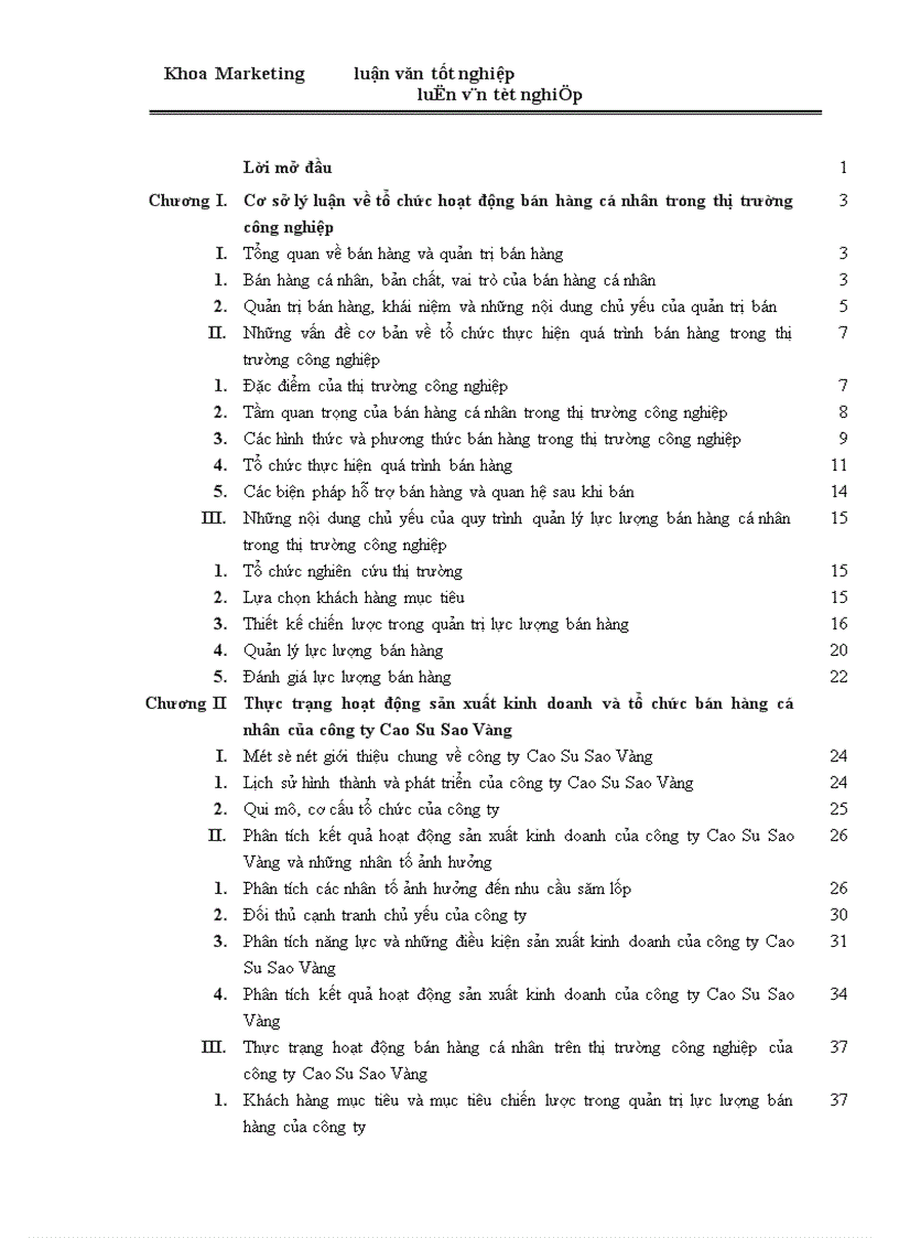 image for page Một số giải pháp marketing nhằm phát triển và hoàn thiện hoạt động bán hàng cá nhân trong thị trường công nghiệp của công ty Cao Su Sao Vàng 1