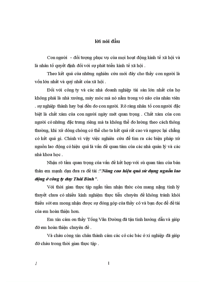 image for page Nâng cao hiệu quả sử dụng nguồn lao động ở công ty đay Thái Bình 1