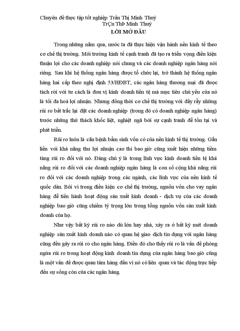 image for page Một số giải pháp hạn chế rủi ro tín dụng ở Ngân hàng TMCP Phương Nam 1