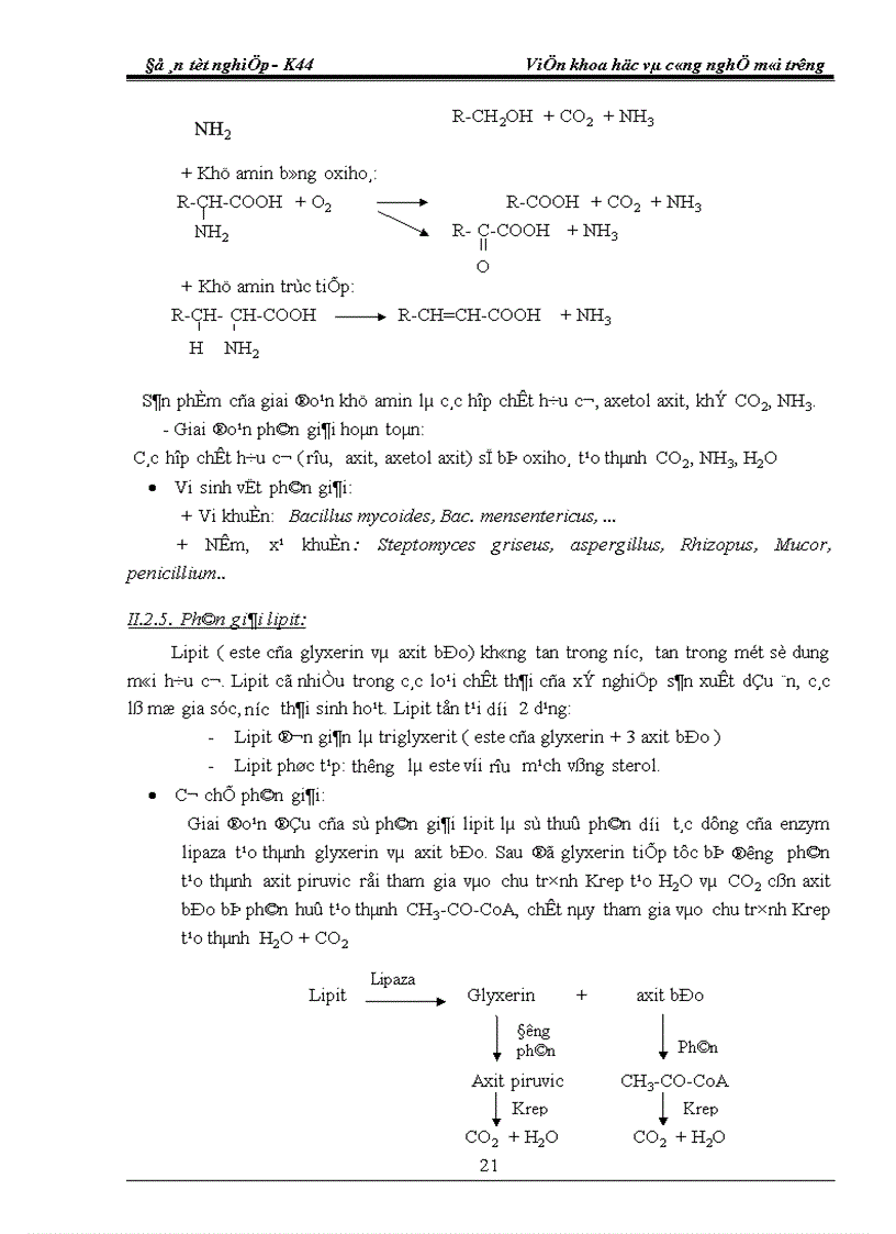 image for page Công nghệ chế biến phân compost