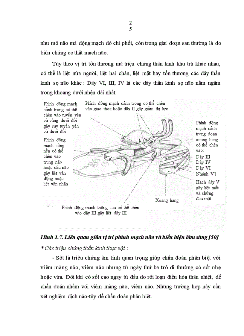 image for page Nghiên cứu đặc điểm lâm sàng hình ảnh học và một số biến chứng của bệnh nhân chảy máu dưới nhện do vỡ phình động mạch thông trước