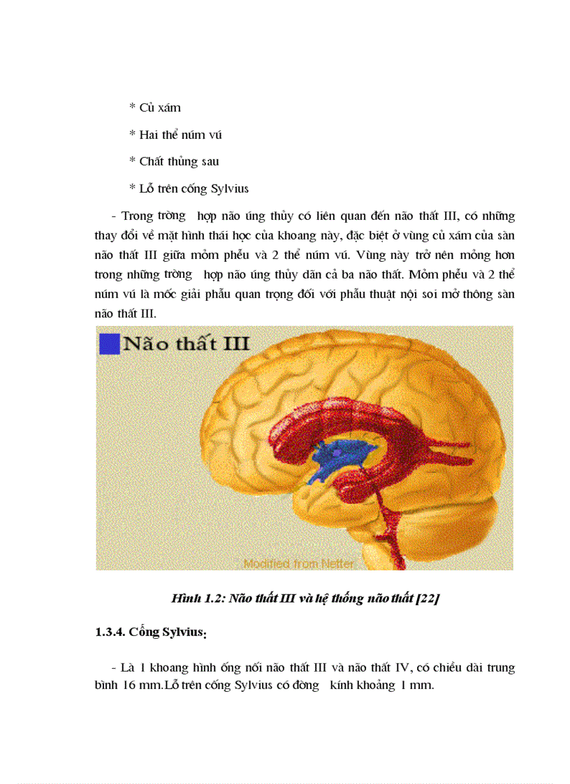 image for page Đánh giá kết quả phẫu thuật nội soi mở thông sàn não thất III ở bệnh nhân não úng thủy thể tắc nghẽn