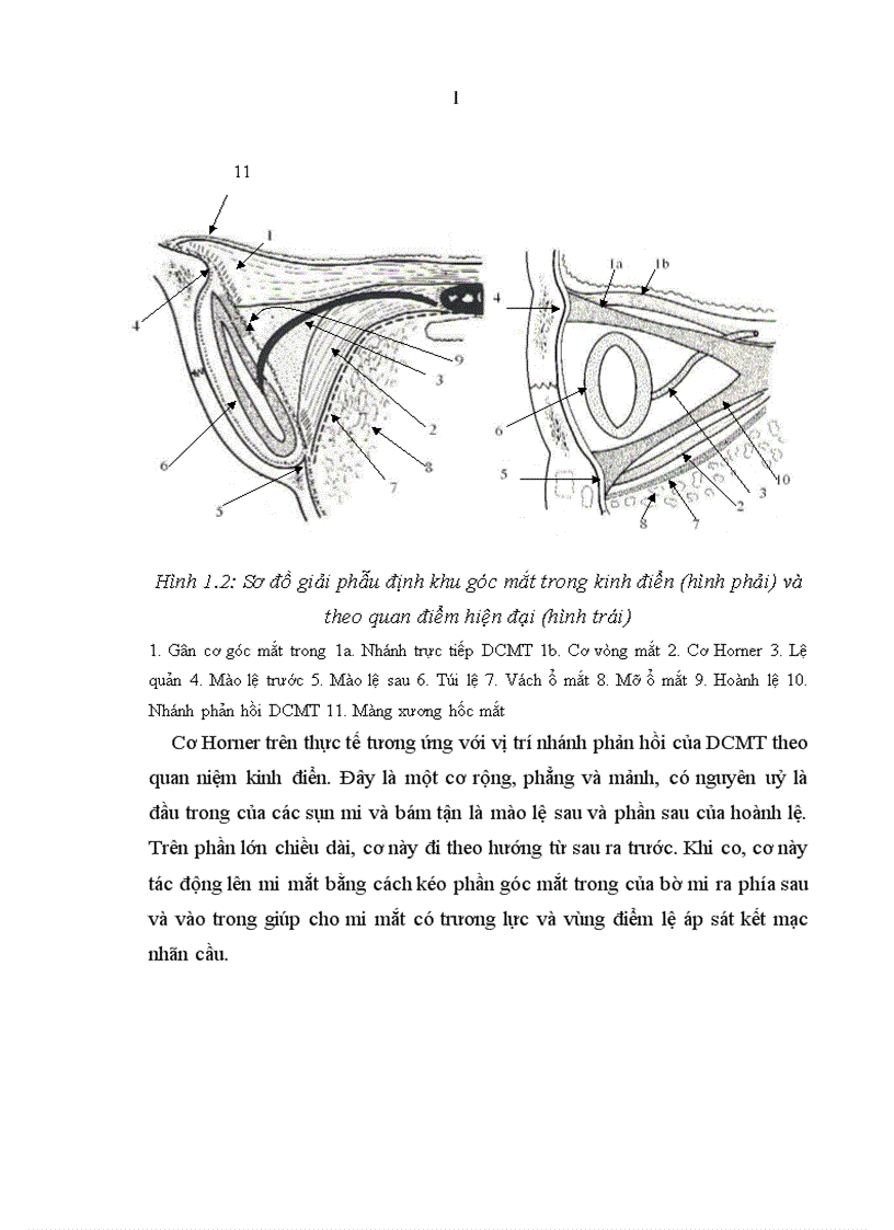 image for page Nghiên cứu đặc điểm lâm sàng tổn thương góc trong mắt do chấn thương và kết quả điều trị