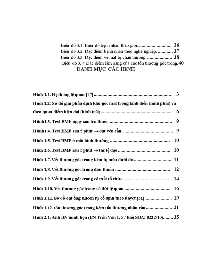 image for page Nghiên cứu đặc điểm lâm sàng tổn thương góc trong mắt do chấn thương và kết quả điều trị