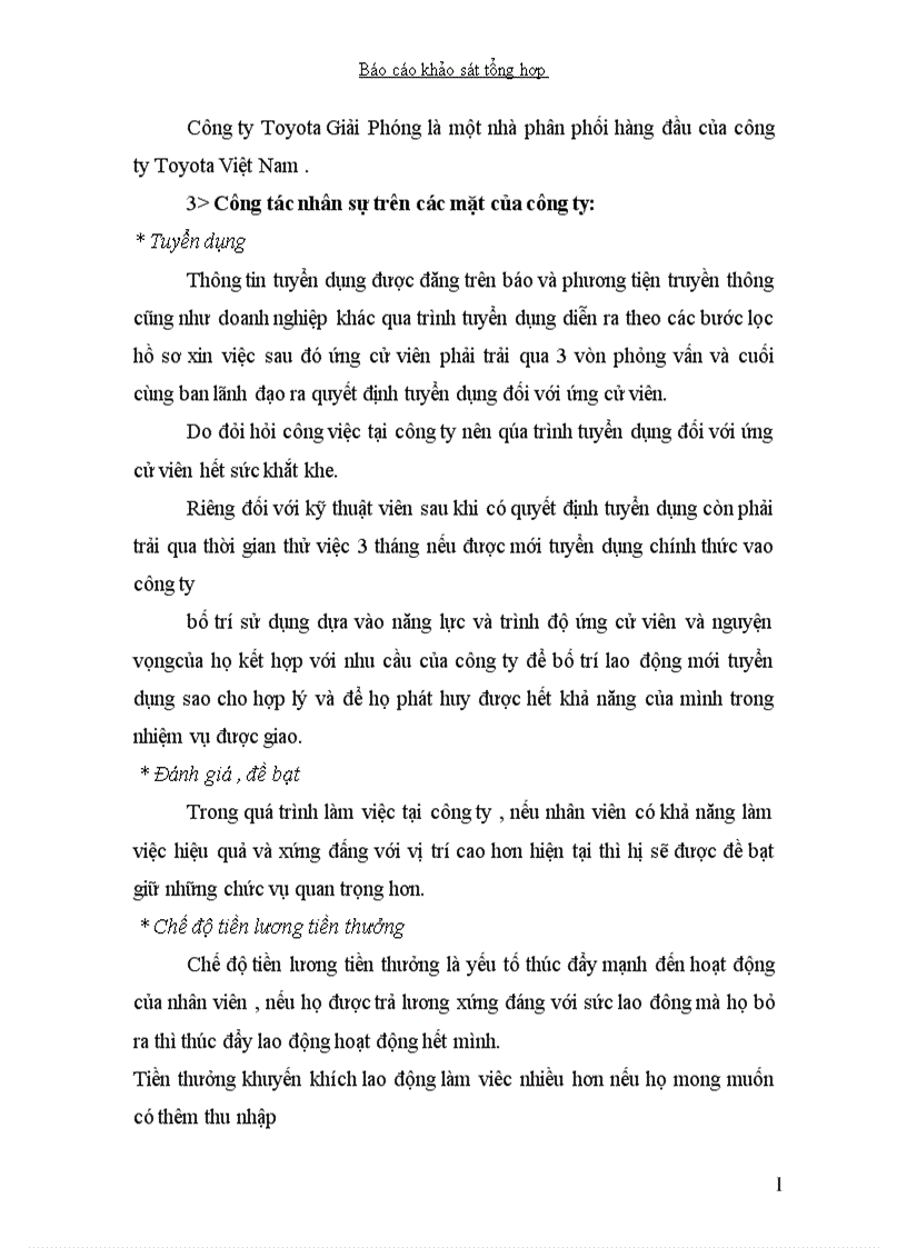 image for page Chiến lược và kế hoạch kinh doanh Công ty Toyota Giải Phóng