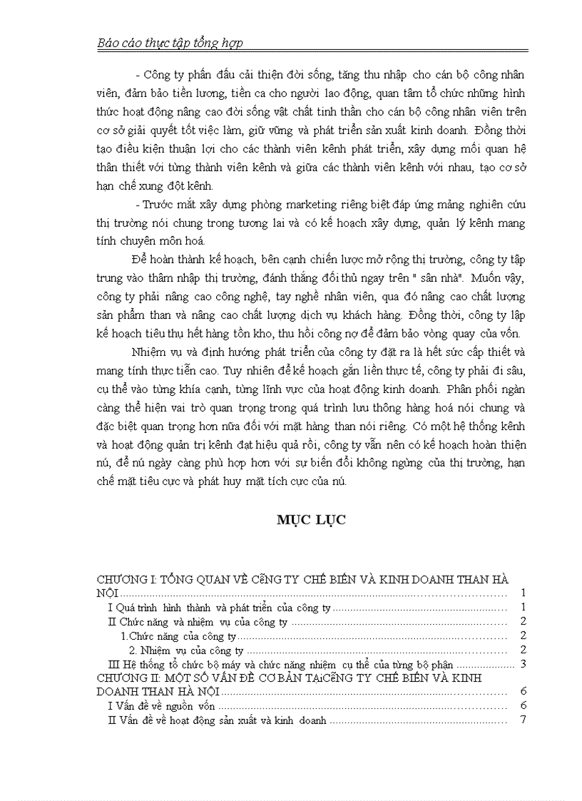 image for page Một số vấn đề cơ bản tại Công ty chế biến và kinh doanh than Hà Nội