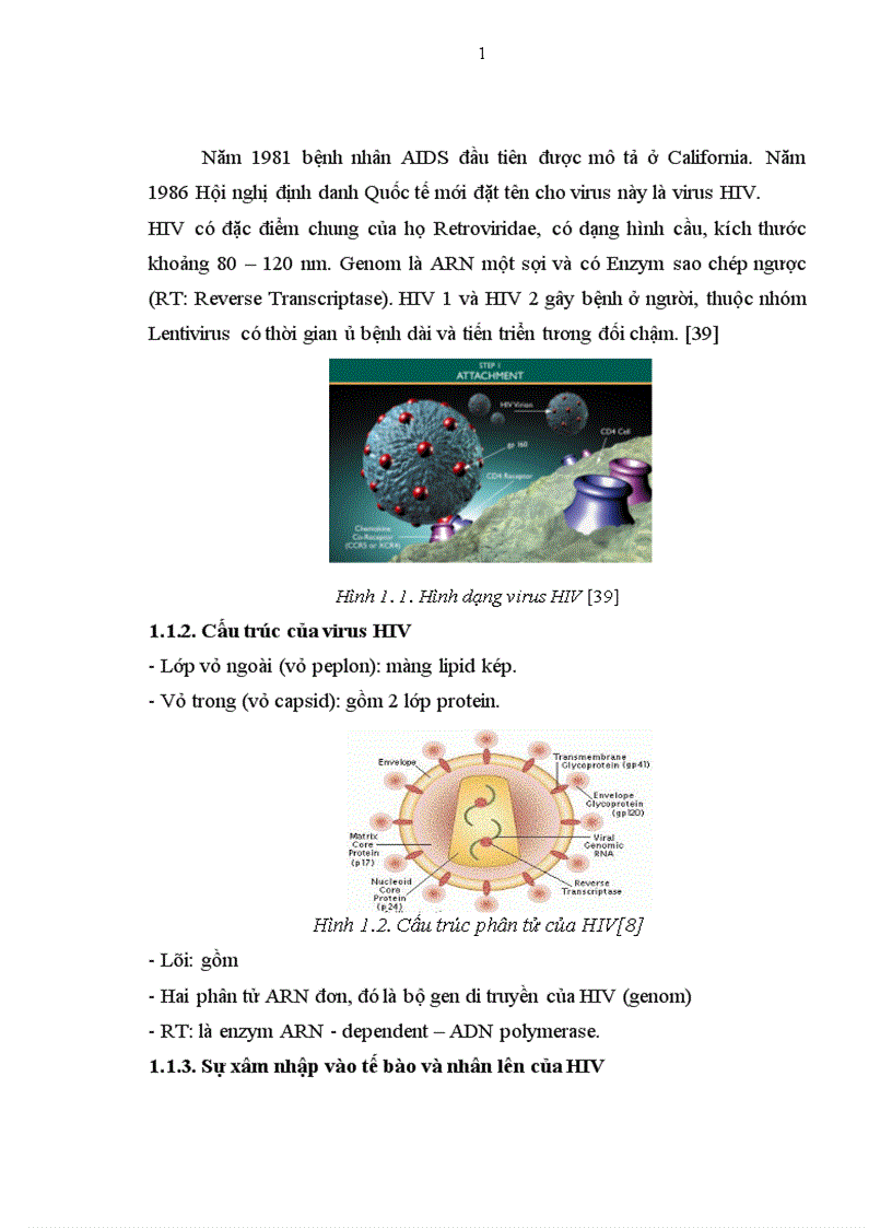 image for page Thực trạng tuân thủ trong điều trị ARV của bệnh nhân HIV AIDS điều trị ngoại trú và một số yếu tố liên quan ở 6 quận huyện thành phố Hà Nội năm 2008