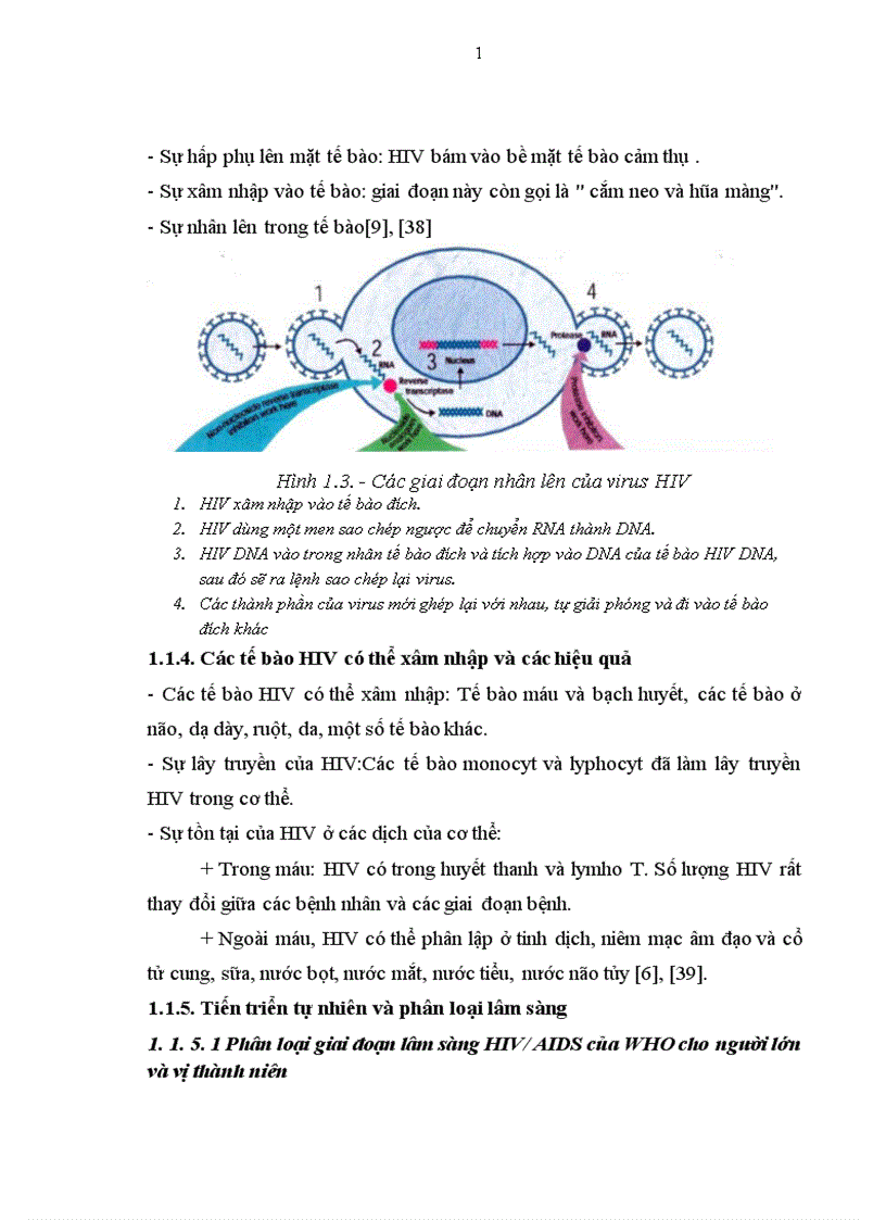image for page Thực trạng tuân thủ trong điều trị ARV của bệnh nhân HIV AIDS điều trị ngoại trú và một số yếu tố liên quan ở 6 quận huyện thành phố Hà Nội năm 2008