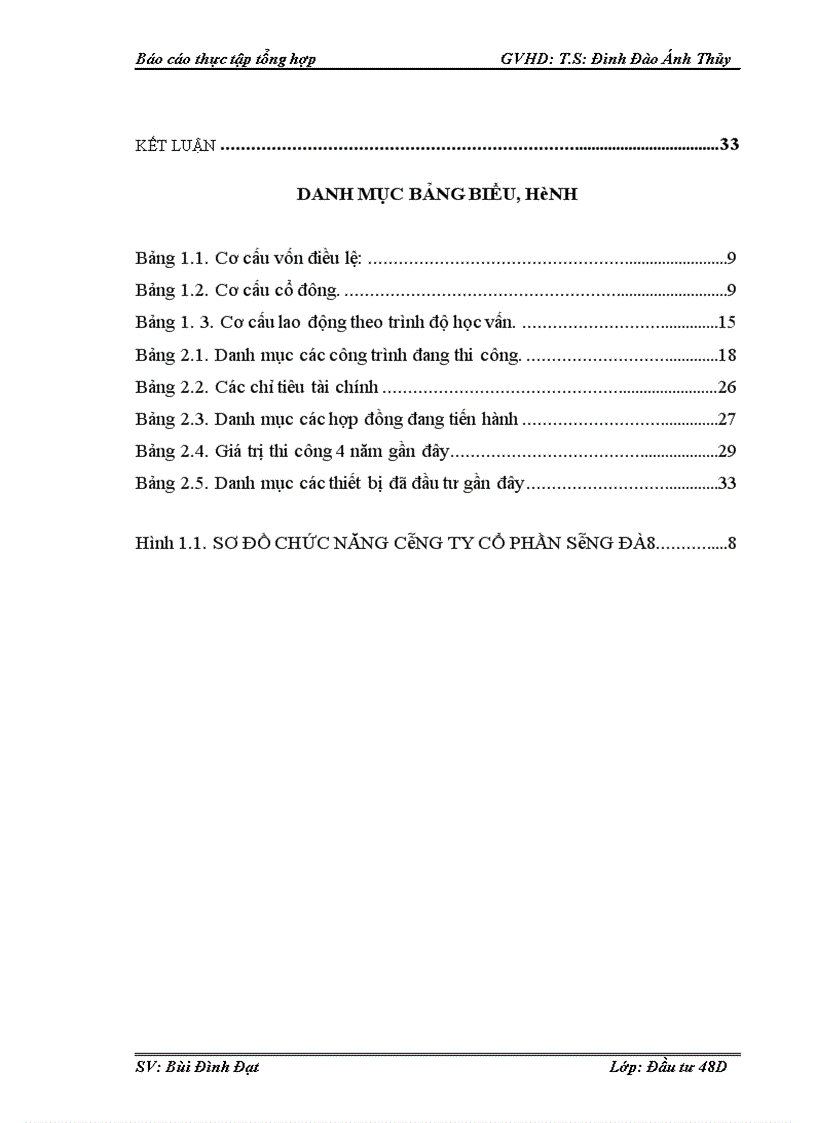 image for page Hoạt động đầu tư của công ty cổ phần Sông Đà 10 1
