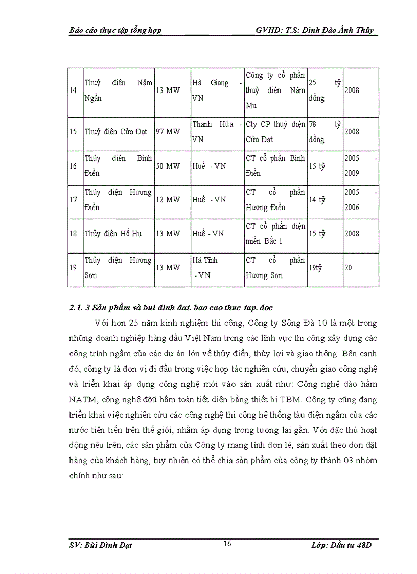 image for page Hoạt động đầu tư của công ty cổ phần Sông Đà 10 1