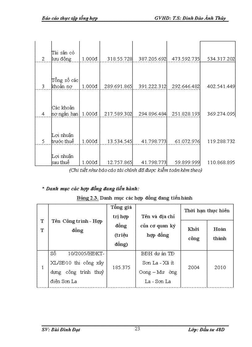 image for page Hoạt động đầu tư của công ty cổ phần Sông Đà 10 1