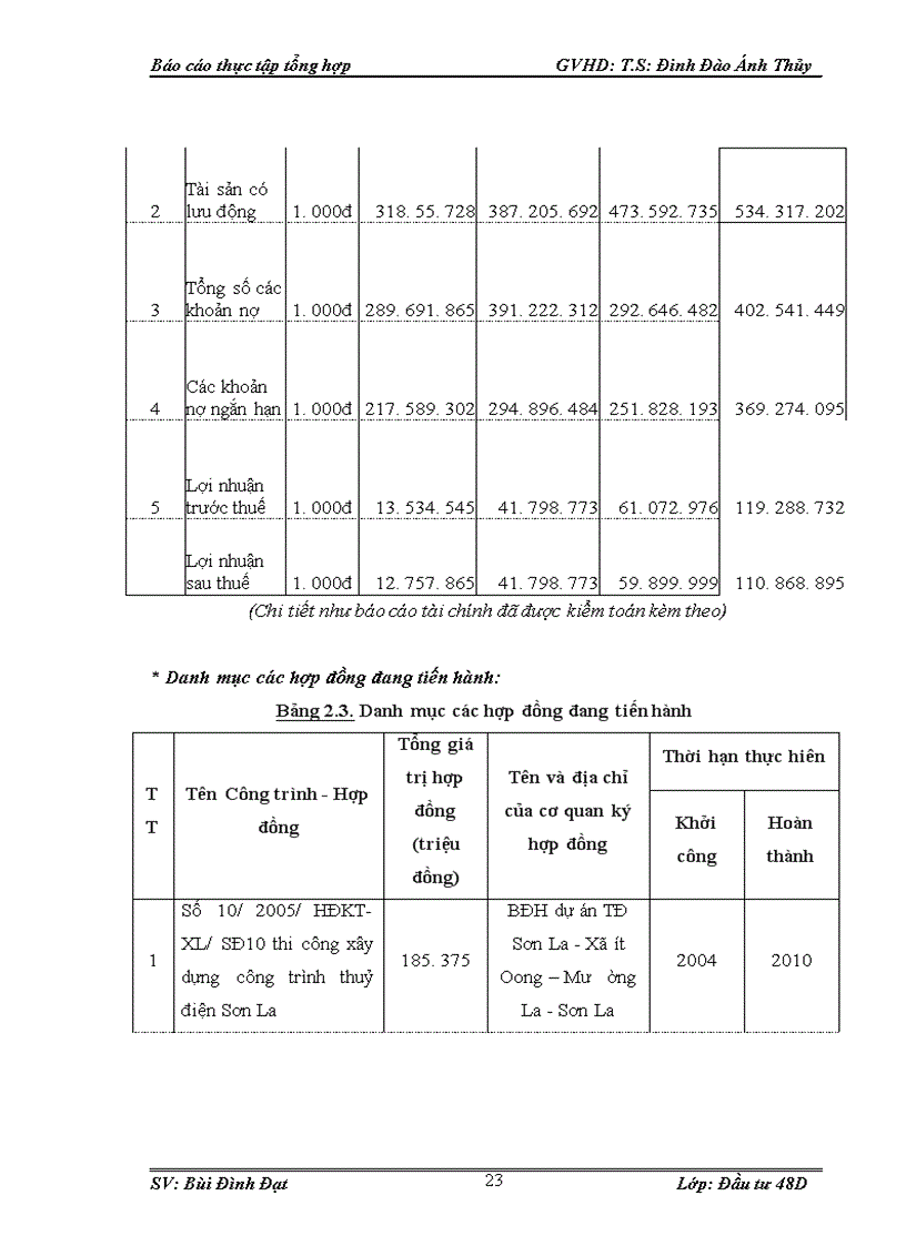 image for page Hoạt động đầu tư của công ty cổ phần Sông Đà 10 1