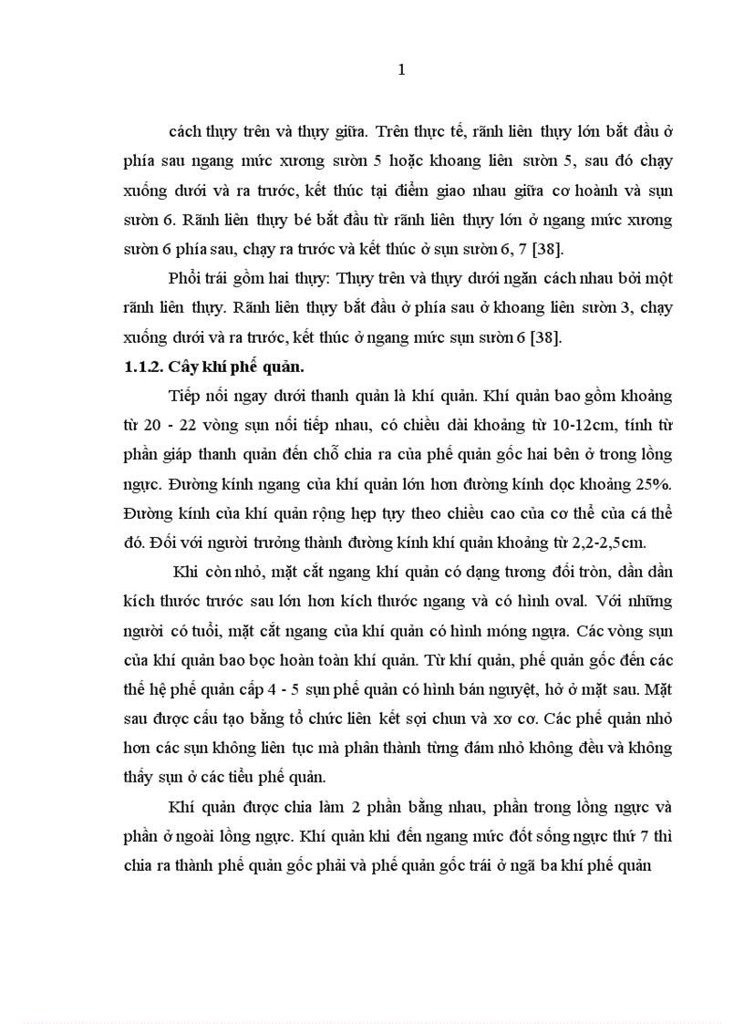 image for page Nghiên cứu đặc điểm lâm sàng cận lâm sàng nguyên nhân ở bệnh nhân có tổn thương phổi thùy giữa điều trị tại khoa Hô hấp Bệnh viện Bạch Mai 1