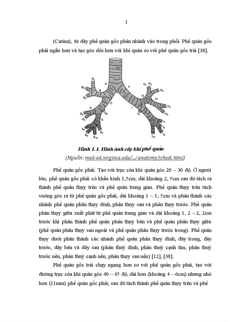 image for page Nghiên cứu đặc điểm lâm sàng cận lâm sàng nguyên nhân ở bệnh nhân có tổn thương phổi thùy giữa điều trị tại khoa Hô hấp Bệnh viện Bạch Mai 1