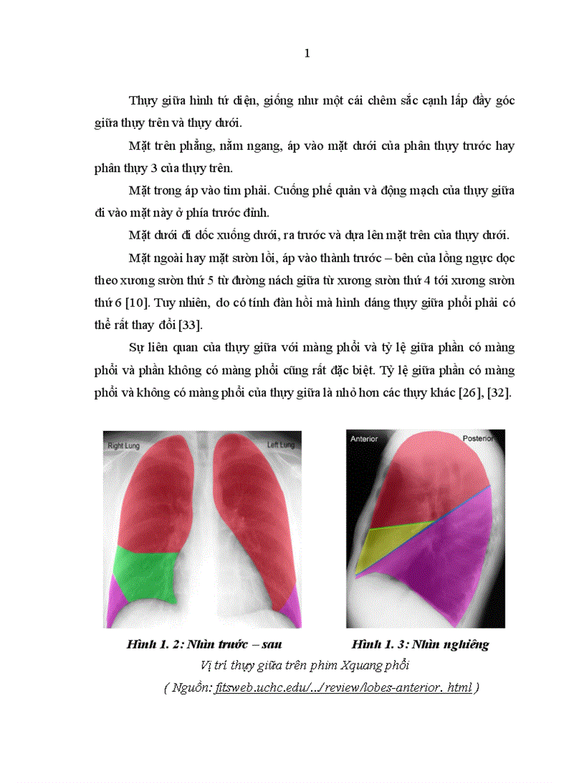 image for page Nghiên cứu đặc điểm lâm sàng cận lâm sàng nguyên nhân ở bệnh nhân có tổn thương phổi thùy giữa điều trị tại khoa Hô hấp Bệnh viện Bạch Mai 1