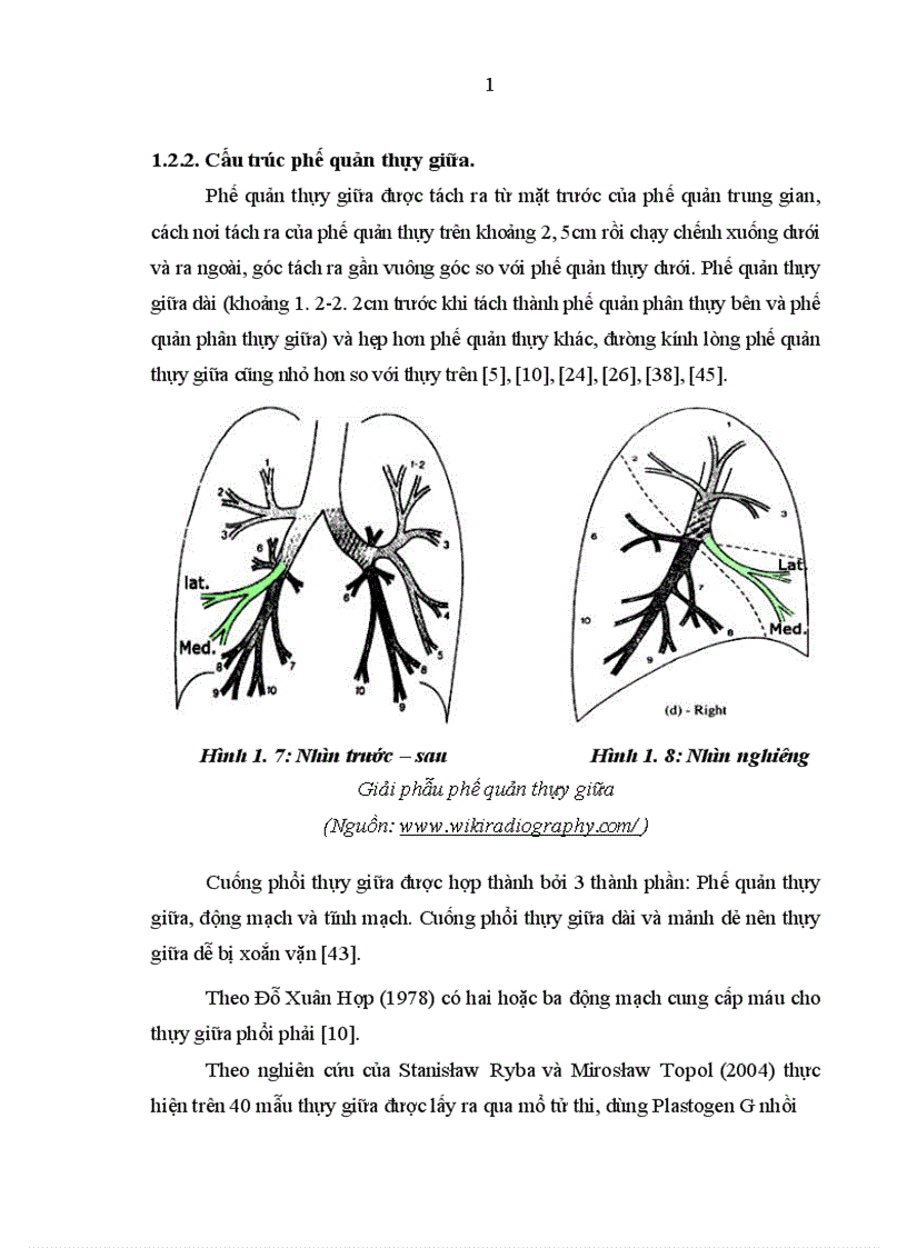 image for page Nghiên cứu đặc điểm lâm sàng cận lâm sàng nguyên nhân ở bệnh nhân có tổn thương phổi thùy giữa điều trị tại khoa Hô hấp Bệnh viện Bạch Mai 1