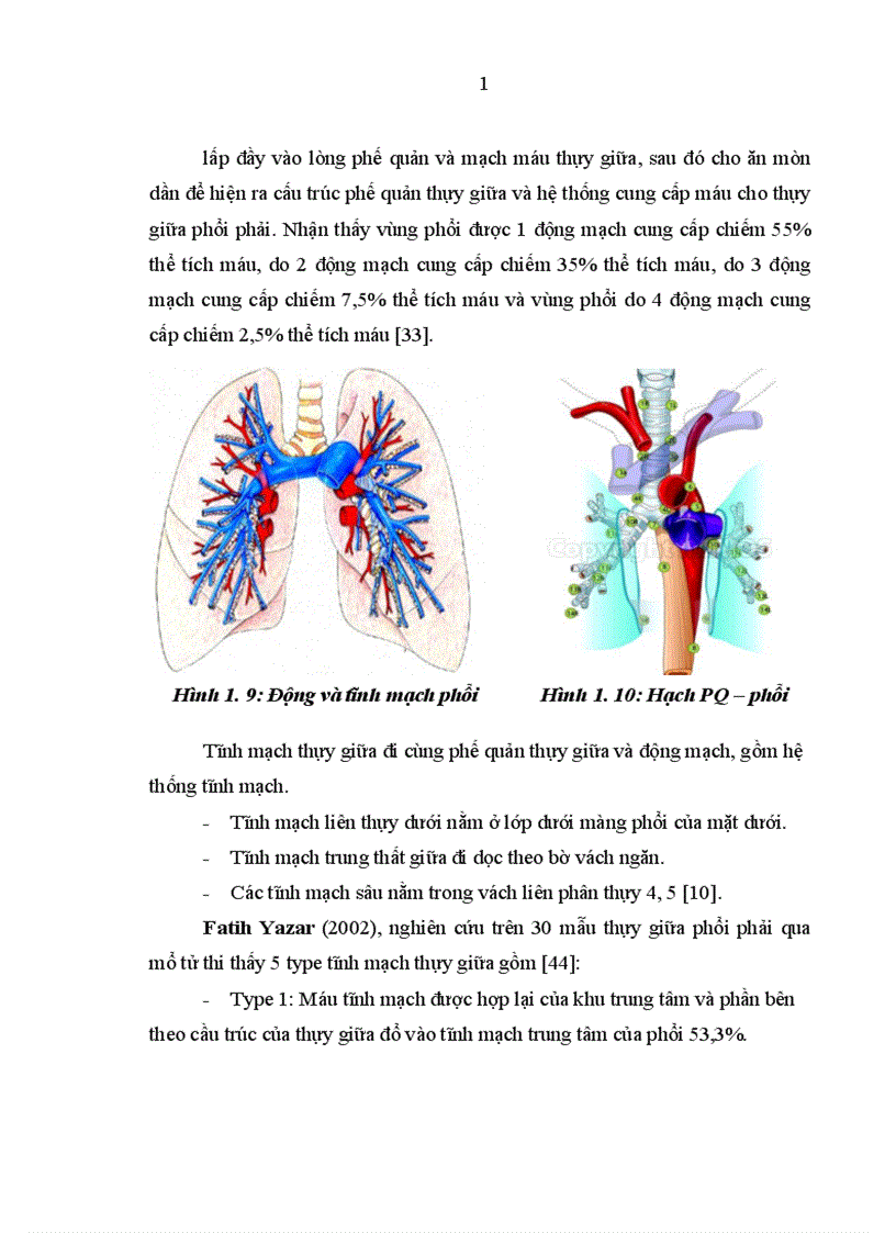 image for page Nghiên cứu đặc điểm lâm sàng cận lâm sàng nguyên nhân ở bệnh nhân có tổn thương phổi thùy giữa điều trị tại khoa Hô hấp Bệnh viện Bạch Mai 1
