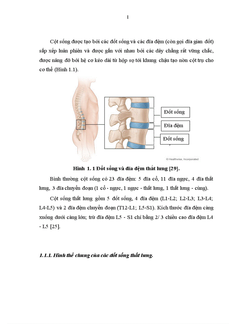 Đánh giá tác dụng điều trị thoát vị đĩa đệm cột sống thắt lưng thể ra sau bằng phương pháp điện châm kết hợp kéo giãn cột sống