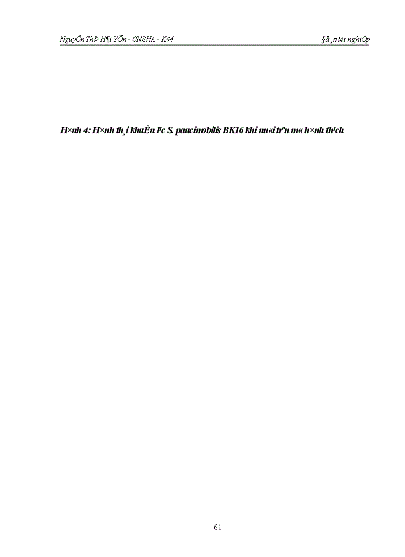 image for page Khảo sát đặc tính và khả năng thu nhận enzym b galactosidaza từ vi khuẩn Sphingomonas paucimobilis BK16