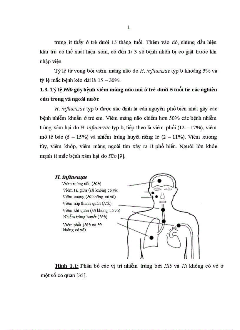 image for page Vai trò gây bệnh viêm màng não mủ cho trẻ dưới 5 tuổi của Haemophilus influenzae typ b và các phương pháp chẩn đoán phòng xét nghiệm