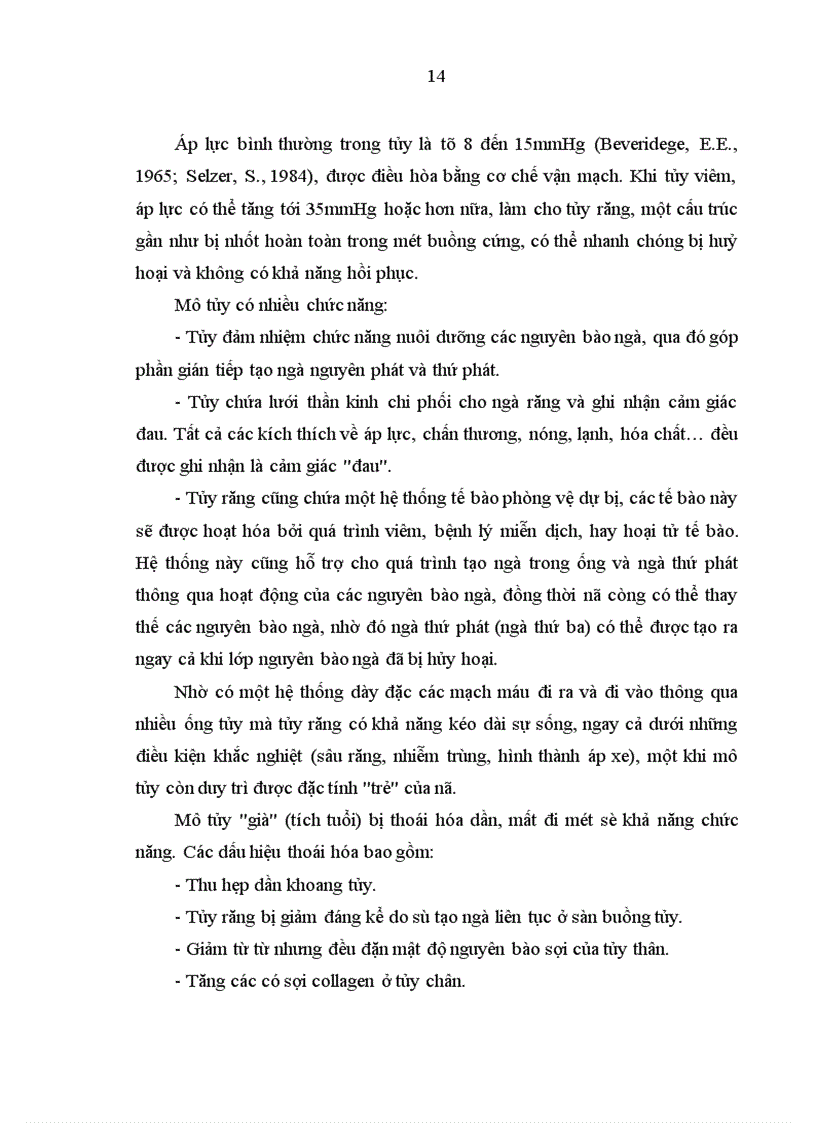 image for page Nghiên cứu răng trụ và đánh giá hiệu quả của cầu cổ điển