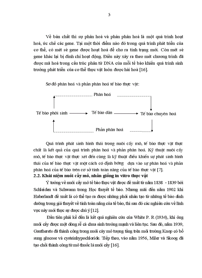 image for page Nghiên cứu kỹ thuật nhân nhanh giống chuối VN1 064 bằng phương pháp nuôi cấy mô tế bào và kỹ thuật chăm sóc cây con ngoài vườn ươm
