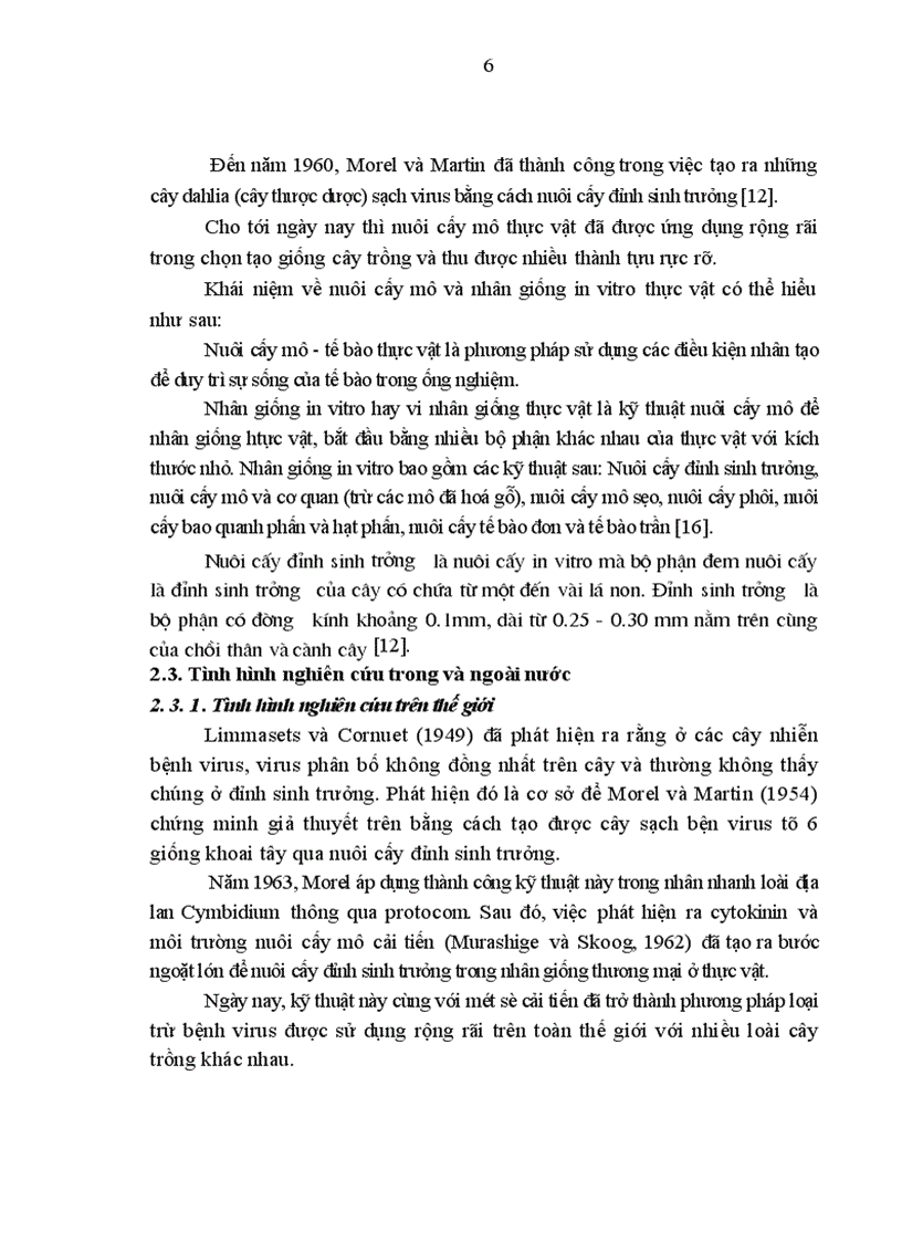 image for page Nghiên cứu kỹ thuật nhân nhanh giống chuối VN1 064 bằng phương pháp nuôi cấy mô tế bào và kỹ thuật chăm sóc cây con ngoài vườn ươm