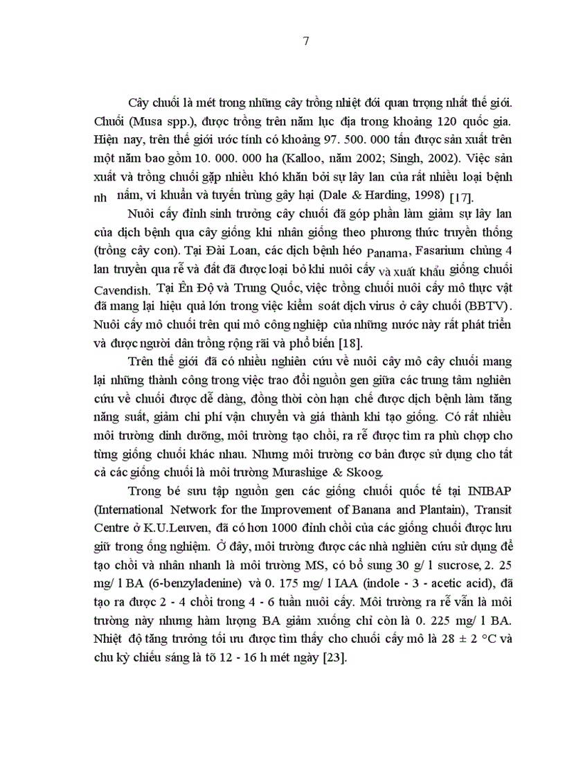 image for page Nghiên cứu kỹ thuật nhân nhanh giống chuối VN1 064 bằng phương pháp nuôi cấy mô tế bào và kỹ thuật chăm sóc cây con ngoài vườn ươm