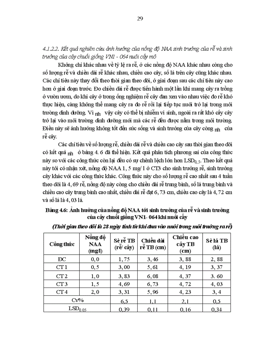 image for page Nghiên cứu kỹ thuật nhân nhanh giống chuối VN1 064 bằng phương pháp nuôi cấy mô tế bào và kỹ thuật chăm sóc cây con ngoài vườn ươm