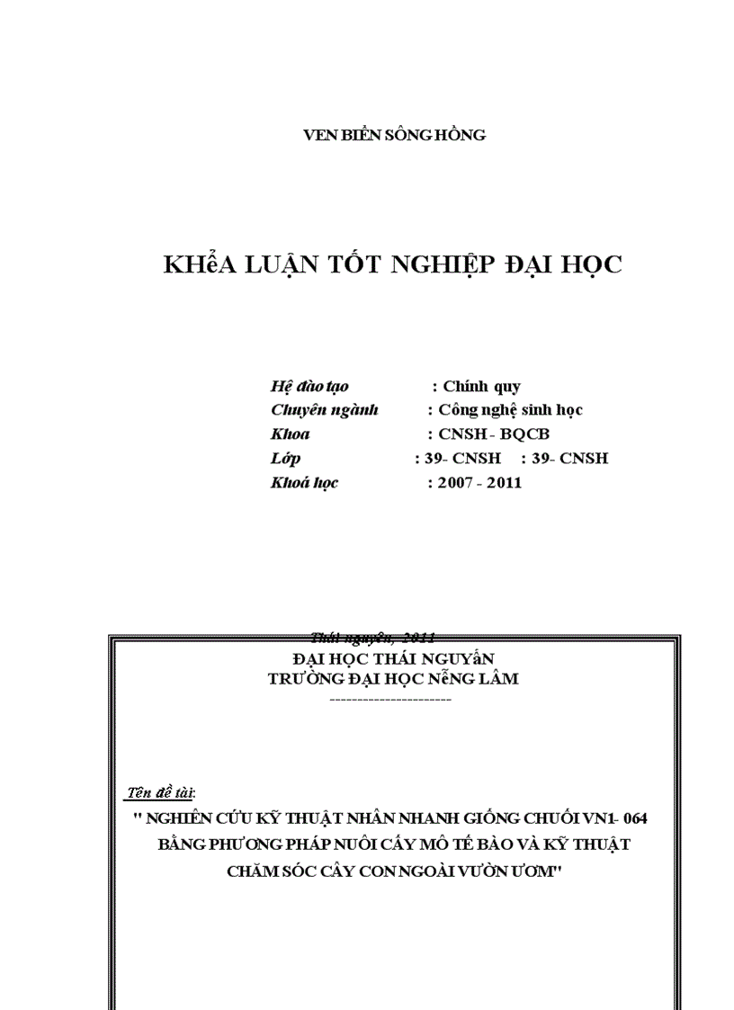 image for page Nghiên cứu kỹ thuật nhân nhanh giống chuối VN1 064 bằng phương pháp nuôi cấy mô tế bào và kỹ thuật chăm sóc cây con ngoài vườn ươm
