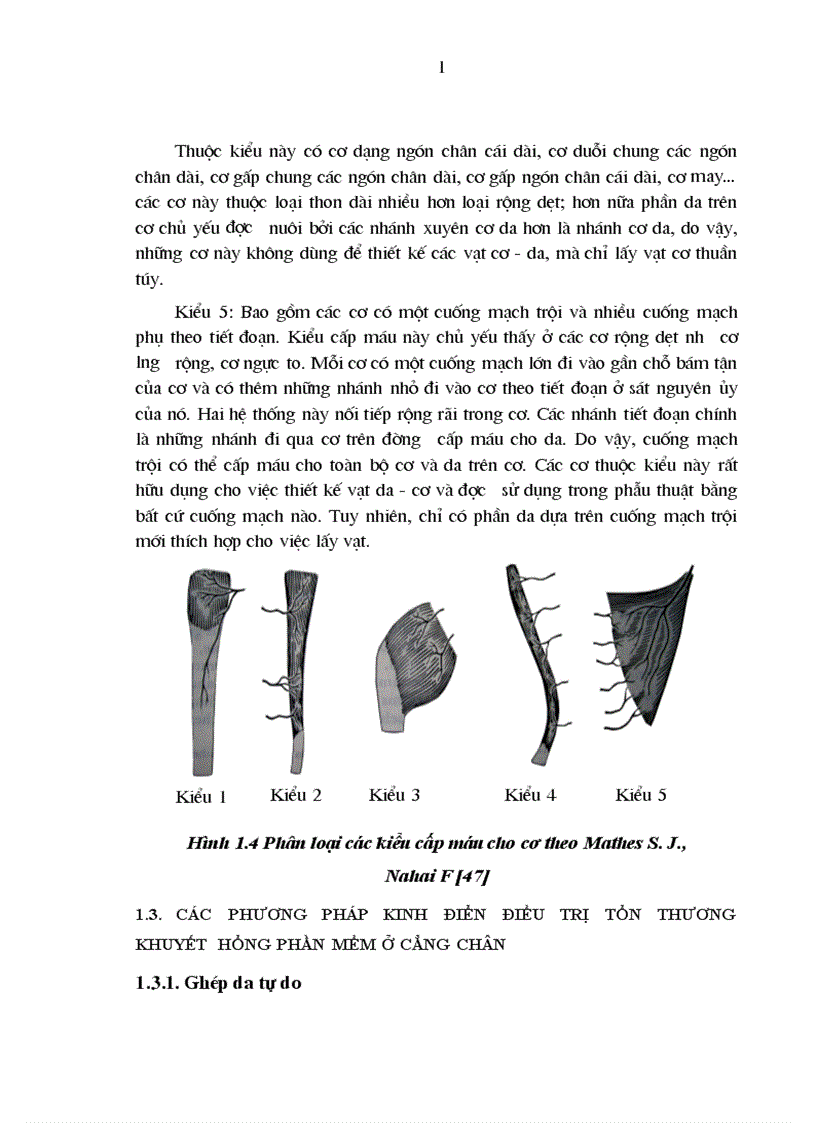 image for page Nghiên cứu kết quả điều trị khuyết hổng phần mềm 2 3 trên cẳng chân bằng vạt cơ BCT tại Bệnh viện Việt Đức