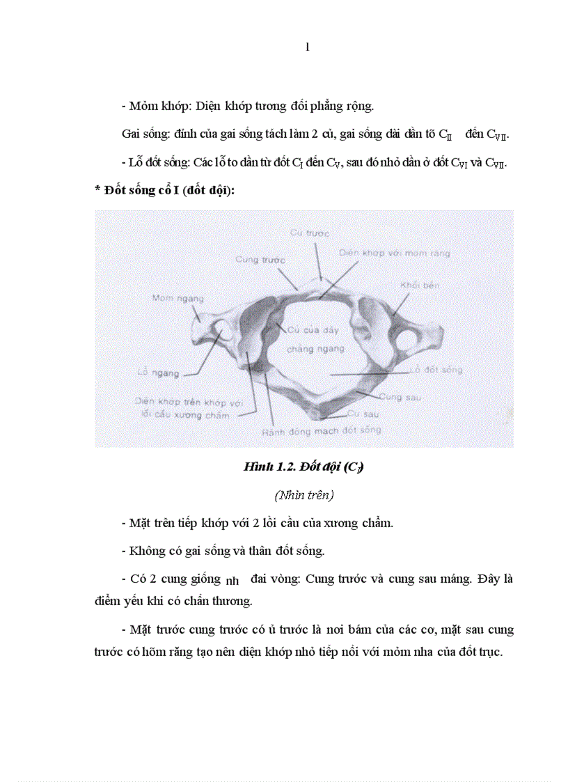 image for page Đánh giá hiệu quả điều trị phục hồi chức năng thoái hoá cột sống cổ bằng vật lý trị liệu kết hợp với vận động trị liệu tại trung tâm phục hồi chức năng bệnh viên bạch mai 1
