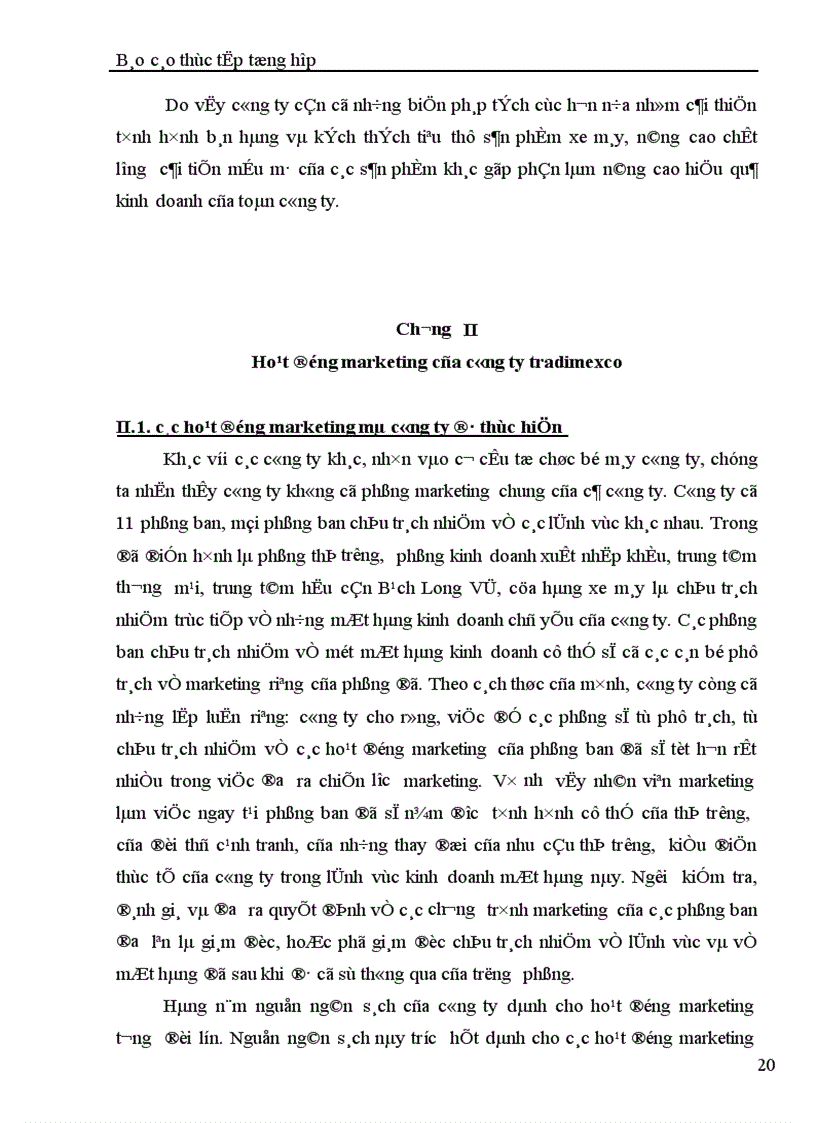 image for page Báo cáo thực tập tổng hợp tại Công ty Thương mại dịch vụ và xuất nhập khẩu Hải Phòng