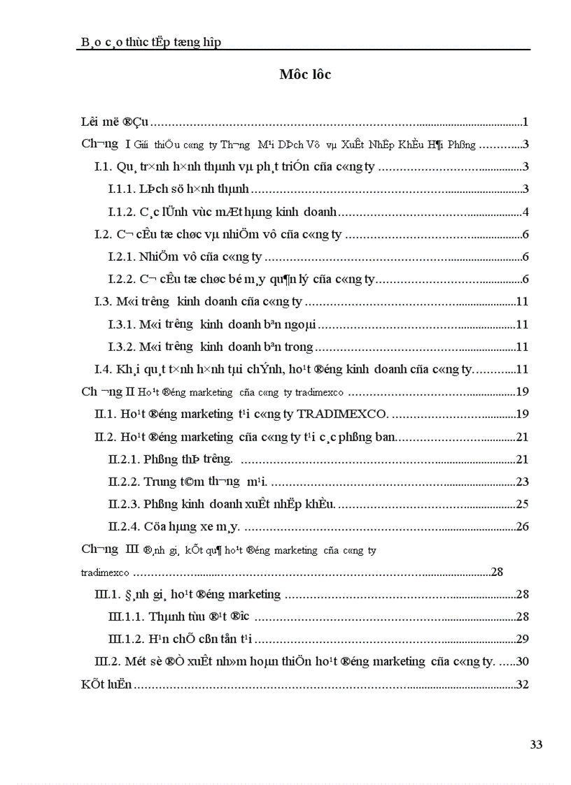 image for page Báo cáo thực tập tổng hợp tại Công ty Thương mại dịch vụ và xuất nhập khẩu Hải Phòng