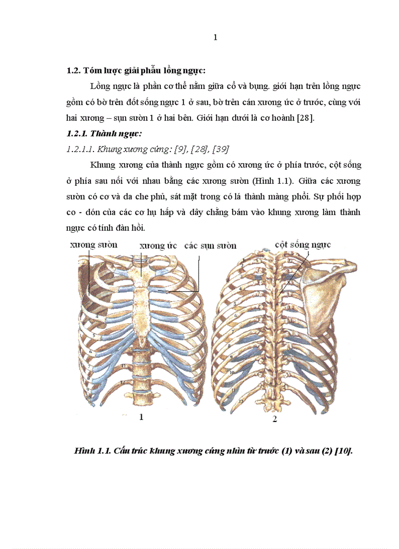 image for page Nghiên cứu đặc điểm lâm sàng cận lâm sàng và kết quả điều trị tràn máu tràn khí màng phổi hai bên trong chấn thương ngực kín 1