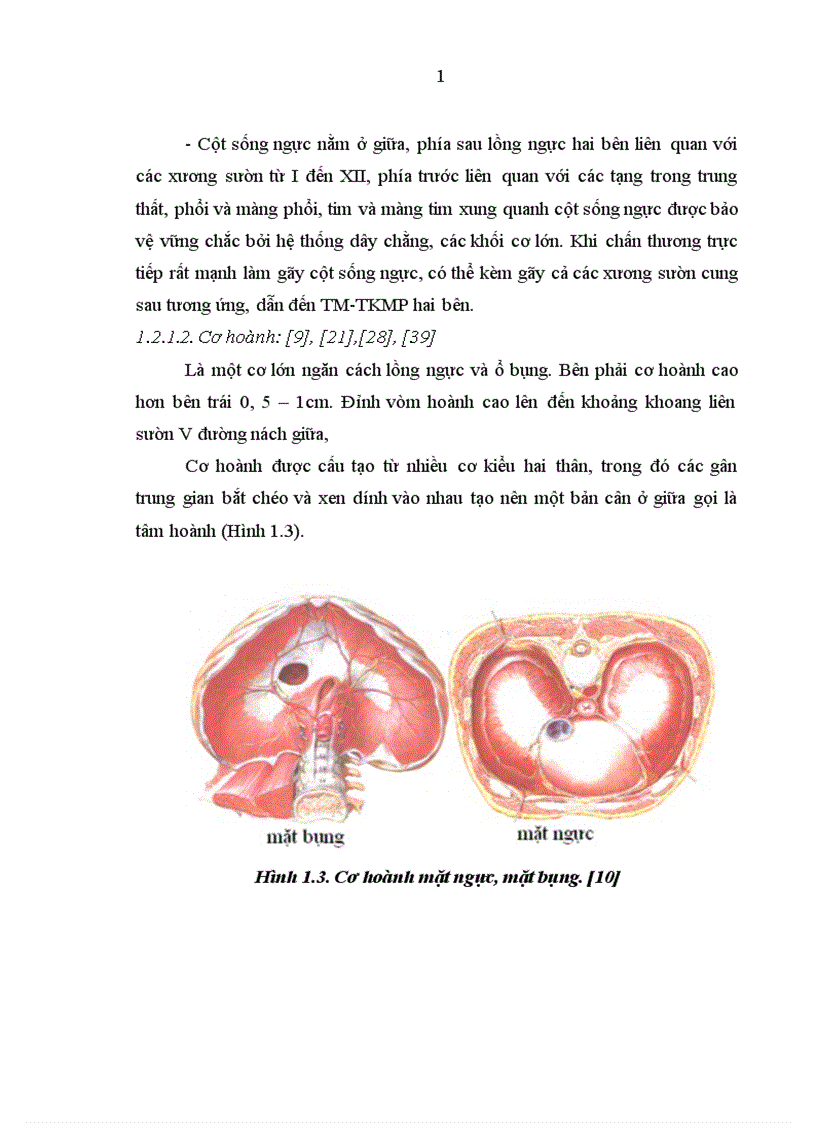 image for page Nghiên cứu đặc điểm lâm sàng cận lâm sàng và kết quả điều trị tràn máu tràn khí màng phổi hai bên trong chấn thương ngực kín 1