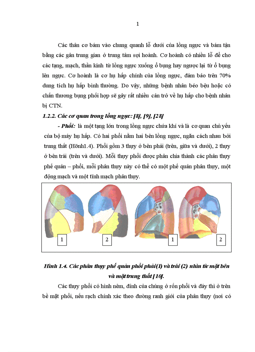 image for page Nghiên cứu đặc điểm lâm sàng cận lâm sàng và kết quả điều trị tràn máu tràn khí màng phổi hai bên trong chấn thương ngực kín 1