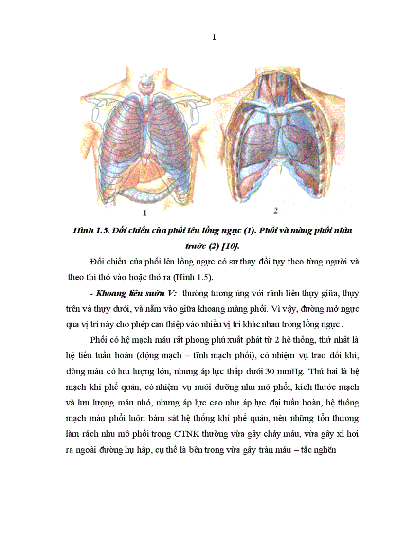 image for page Nghiên cứu đặc điểm lâm sàng cận lâm sàng và kết quả điều trị tràn máu tràn khí màng phổi hai bên trong chấn thương ngực kín 1
