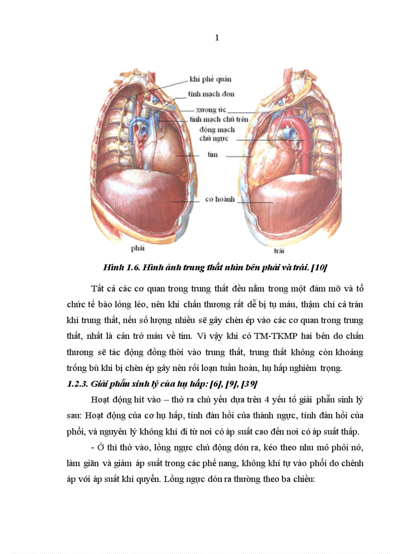 image for page Nghiên cứu đặc điểm lâm sàng cận lâm sàng và kết quả điều trị tràn máu tràn khí màng phổi hai bên trong chấn thương ngực kín 1