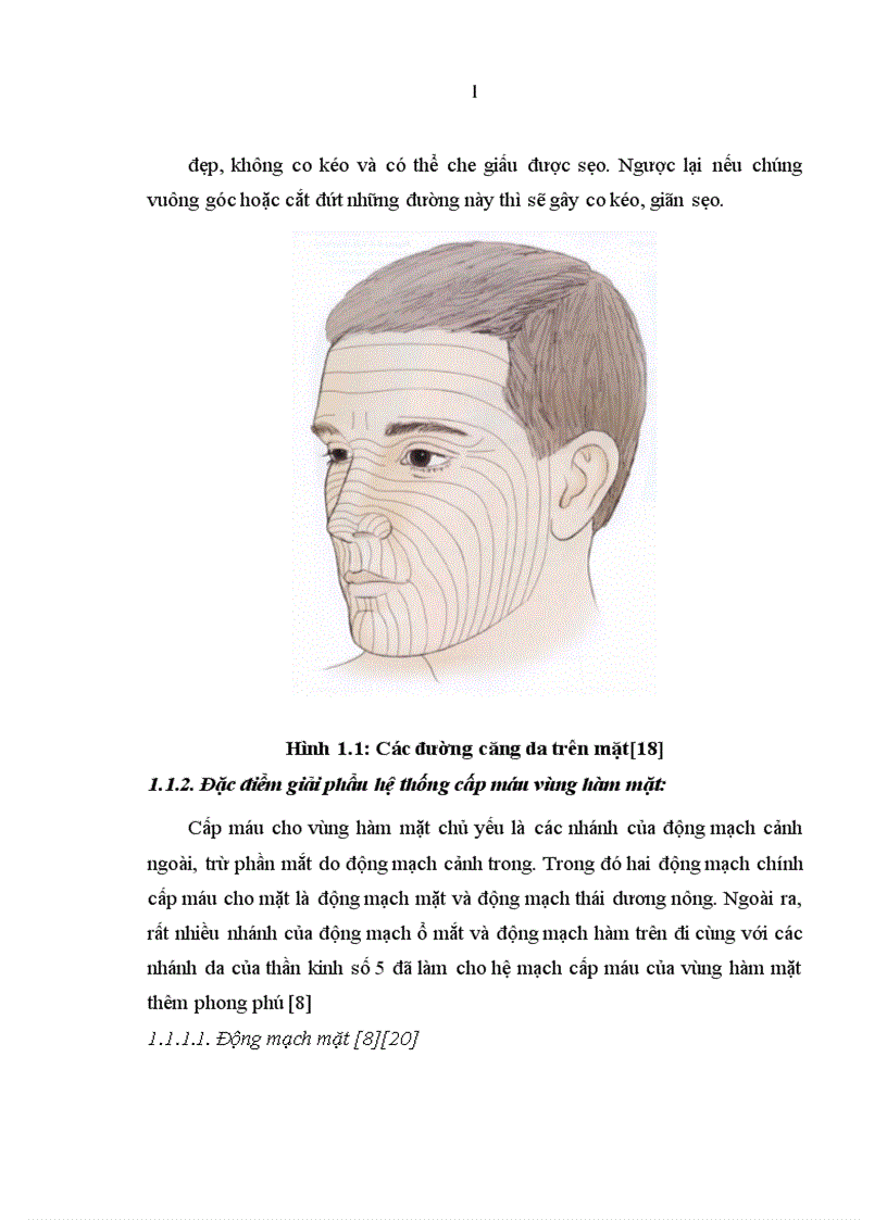 image for page Đánh giá kết quả sử dụng vạt hình thoi trong tạo hình phần mềm vùng mặt