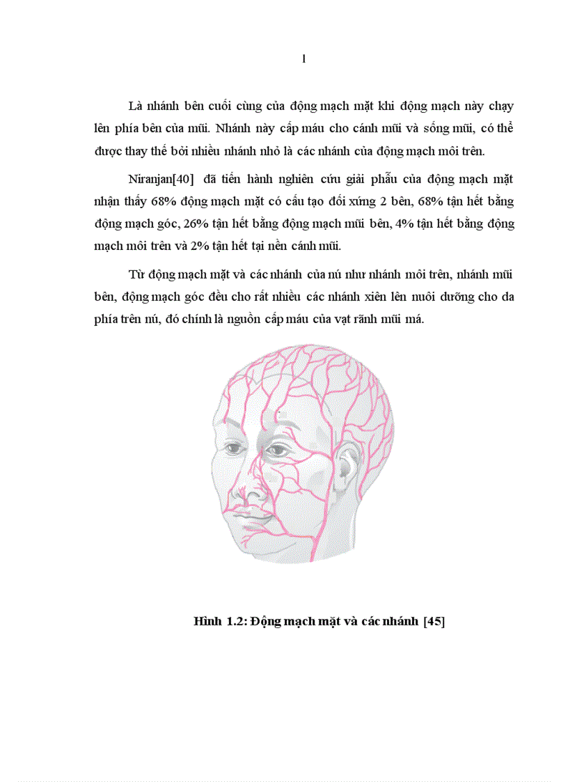 image for page Đánh giá kết quả sử dụng vạt hình thoi trong tạo hình phần mềm vùng mặt