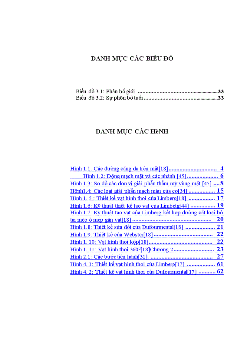 image for page Đánh giá kết quả sử dụng vạt hình thoi trong tạo hình phần mềm vùng mặt