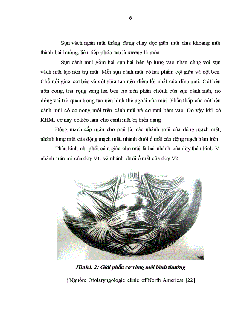 image for page Đánh giá vai trò tạo hình chữ Z ở trên đường viền da môi đỏ trong phương pháp Millard mổ khe hở môi một bên toàn bộ 1