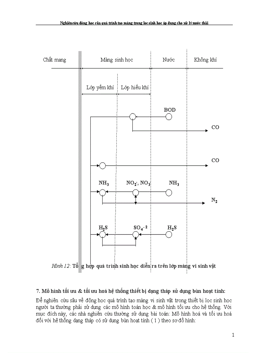 image for page Nghiên cứu động học của quá trình tạo màng trong lọc sinh học áp dụng cho xử lý nước thải