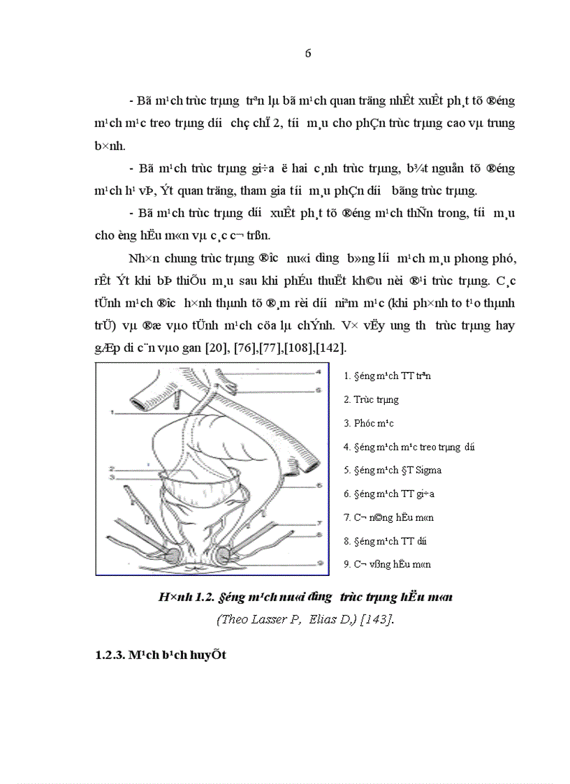 image for page Nghiên cứu mức xâm lấn di căn hạch của ung thư biểu mô tuyến trực tràng qua lâm sàng chụp CT và chụp công hưởng từ 1