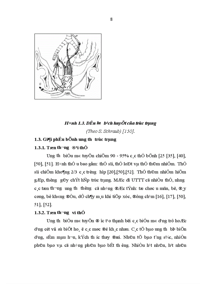 image for page Nghiên cứu mức xâm lấn di căn hạch của ung thư biểu mô tuyến trực tràng qua lâm sàng chụp CT và chụp công hưởng từ 1