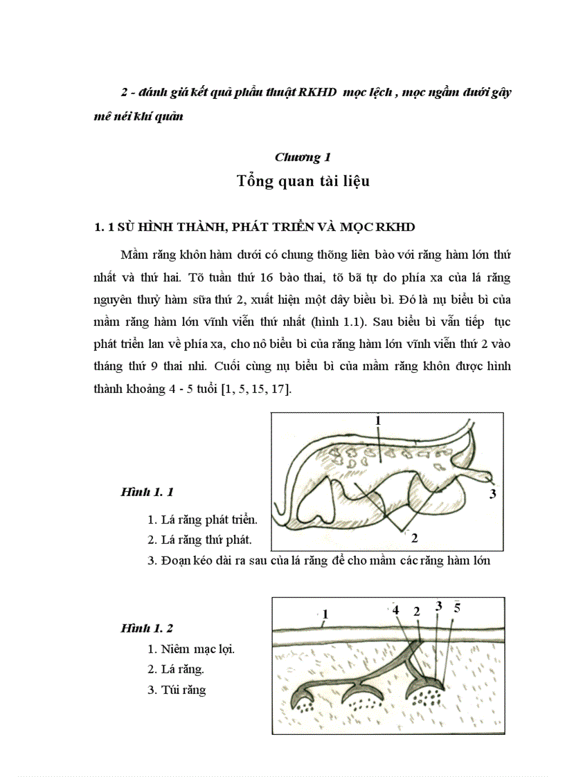 image for page Nhận xét đặc điểm lâm sàng X quang và đánh giá kết quả phẫu thuật RKHD mọc lệch mọc ngầm dưới gây mê nội khí quản