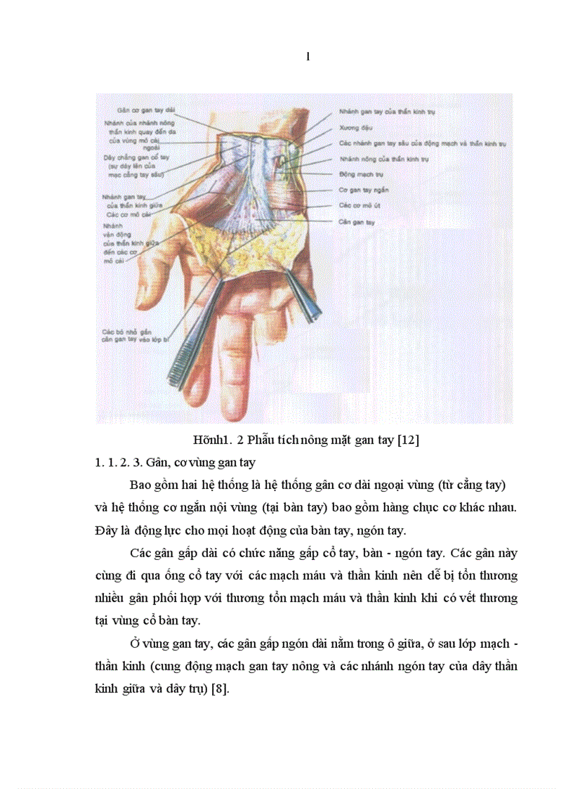 image for page Nghiên cứu đặc điểm tổn thương và đánh giá kết quả điều trị vết thương bàn tay tại Bệnh viện Xanh Pôn 1