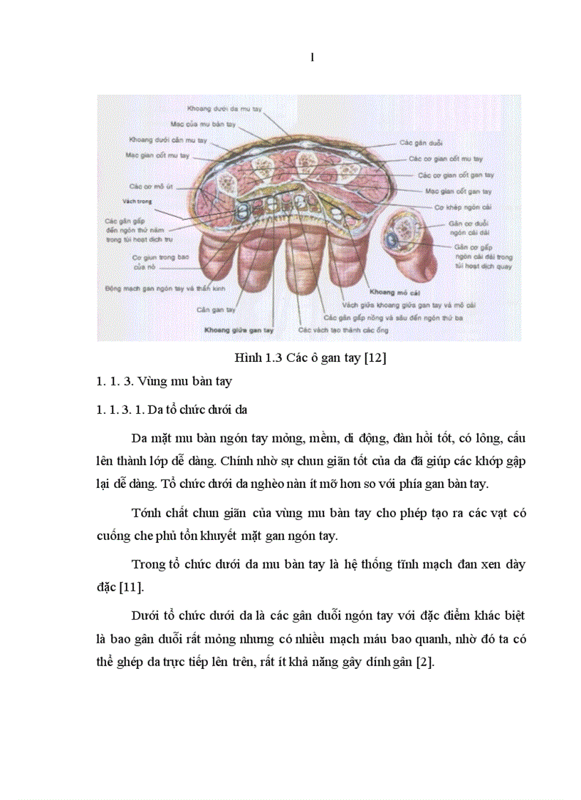 image for page Nghiên cứu đặc điểm tổn thương và đánh giá kết quả điều trị vết thương bàn tay tại Bệnh viện Xanh Pôn 1