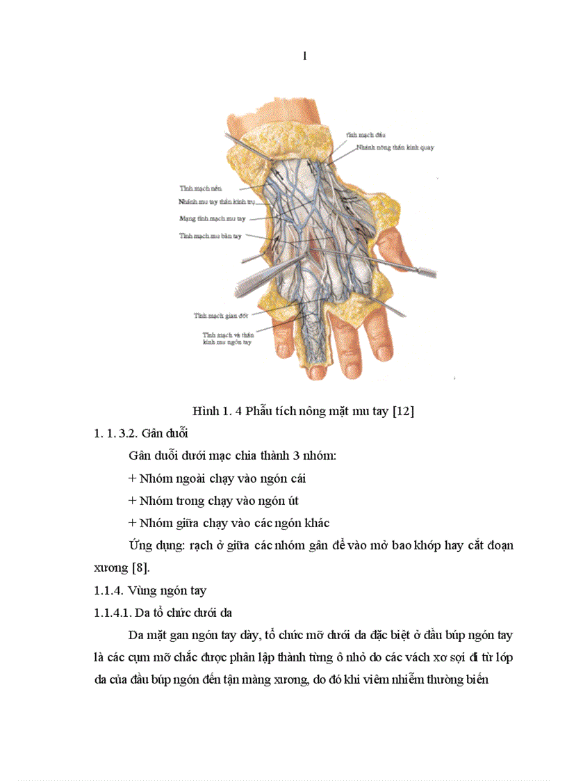 image for page Nghiên cứu đặc điểm tổn thương và đánh giá kết quả điều trị vết thương bàn tay tại Bệnh viện Xanh Pôn 1